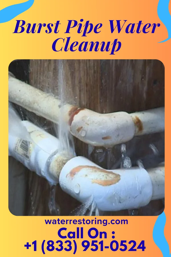 Burst Pipe Water Cleanup in Kensington, NY