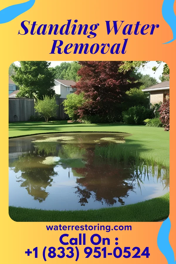 Standing Water Removal in Kensington, NY